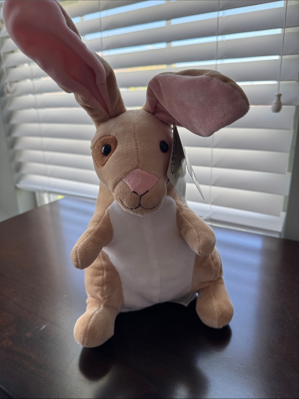 Nwt Kohl’s Cares Plush Velveteen Rabbit